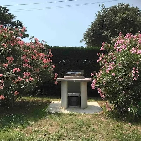 Petit Paradis בית נופש